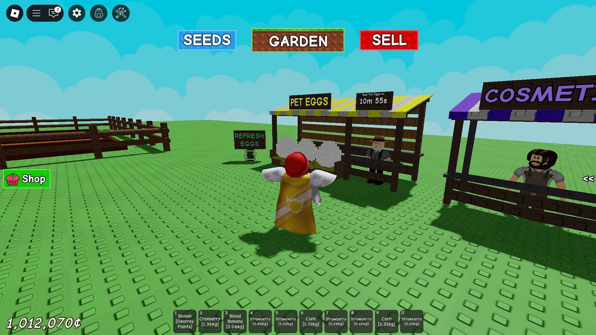 The Pet Eggs Shop (Image via Roblox)